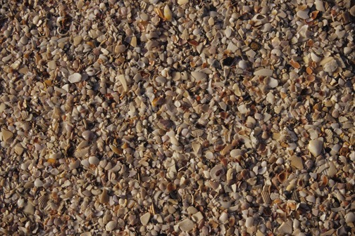 04-04 03 Broken Shell Beach