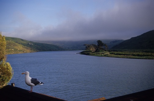 04-05 nCa 10 Russian River