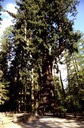 04-05 nCav 12 Drove