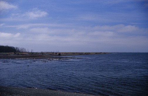 04-05 Or 18 Oregon Coast 2