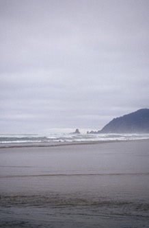 04-05 Or 21 Oregon Coast 4