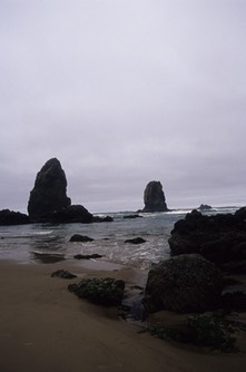 04-05 Or 21a Oregon Coast 4a