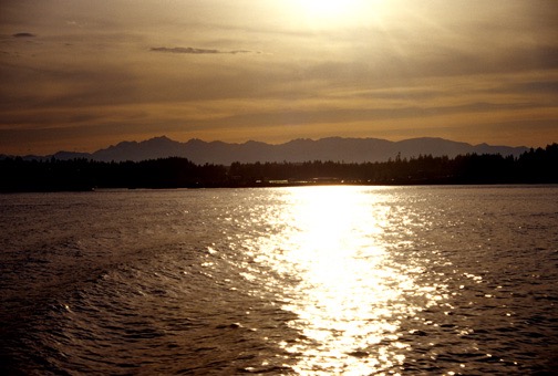 04-05 Wa 24 Olympic Peninsula