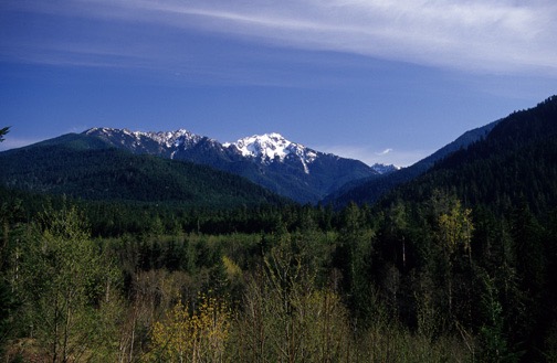 04-05 Wa 25 Mount Olympus 6x9
