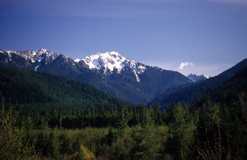 04-05 Wa 25a Mount Olympus 2