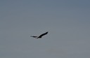 06-13_DSC_0194