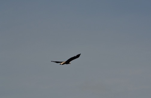 06-13_DSC_0194