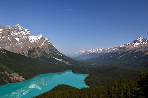 07-12 DSC 0108 Peyto Lake Foot