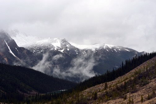 07-12 DSC 0215 Cavell lake view 2