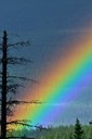07-12 DSC 0325 Marmot Basin Rainbow 1