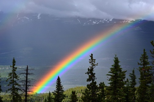 07-12 DSC 0326 Rainbow Marmot Basin 1