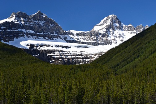 07-12 DSC 0413 Icefields Parkway View 1