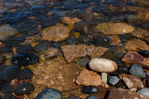 07-16_Concreatons_DSC_0360