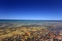 07-16_Lake Bottom_DSC_0411