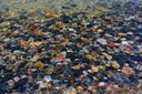 07-16_Lakebottom_DSC_0394