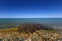 07-16_Ship Wreck+DSC_0408