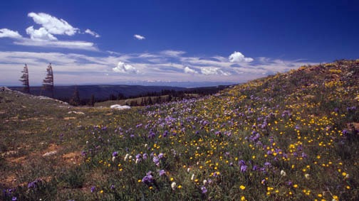 09-94 front range lg