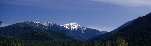 25 Mount Olympus 17x5