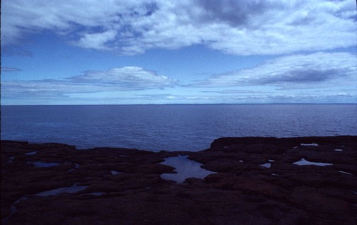 a goosberry shore1 lg