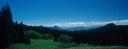 Colorado Mountain Scene 17x6