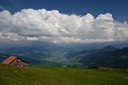 DSC 0133