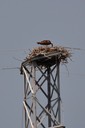 v06-13_DSC_0183+2