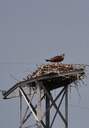 v06-13_DSC_0184_2