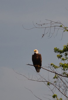 v06-13_DSC_0210