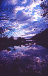 v crawfish river scene