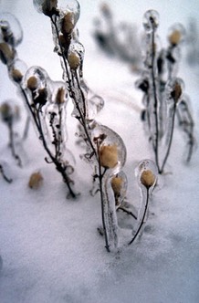 v ice storm