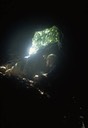 z entrance bear cave