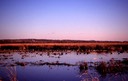 z horicon marsh fall