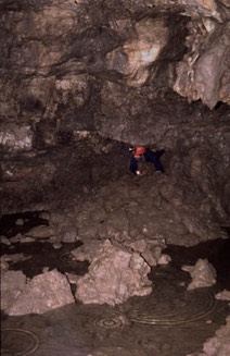 z nick star valley cave