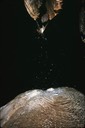 z stalagmite dome iIllinois caverns