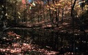 z the kettle pond