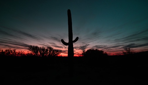 02-13_DSC_0103_Saguaro Sunset 2