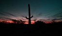 02-13_DSC_0103_Saguaro Sunset 2