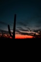 02-13_DSC_0108_Saguaro Sunset 4