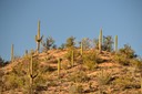 02-13_DSC_0148_Saguaro Hill
