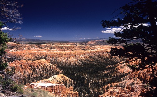 07-09 bryc Bryce Point View 3