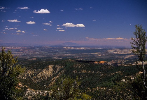 07-09 bryc Paria View 1