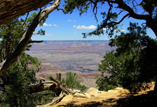 07-09 gcs South Rim 1 DSCN1648 LG