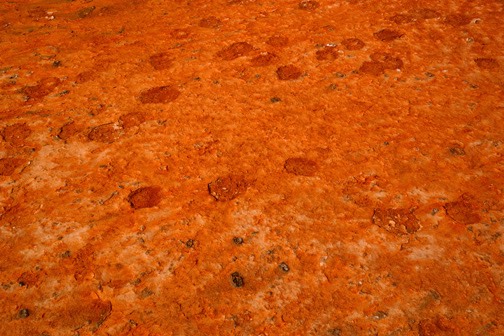 07-11 DSC 0275 Midway Basin Bact Mats 2