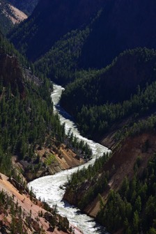 07-11 DSC 0562 GC Yellowstone