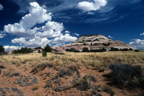 09-94 cis 14 Aztec Butte web