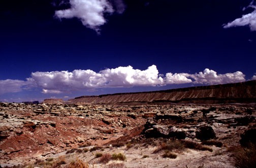 09-98 egs cainville reef lg