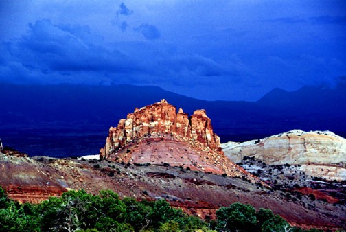 09-98 egs the cockscomb lg