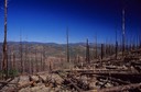 10-02 zz 23 Fire Remnant 2