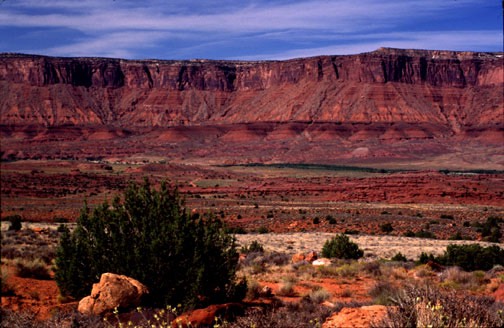 10-95 cnd needle canyon rims
