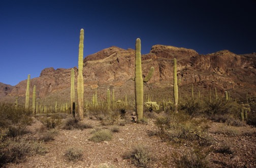 12-08 opc Estes Canyon Trail Sugaro